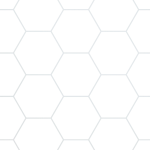 FlexStyle Hexagon Tile Swatch